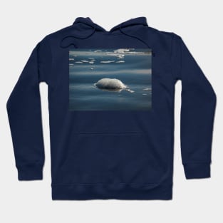 The Splendor of Sea Foam Hoodie